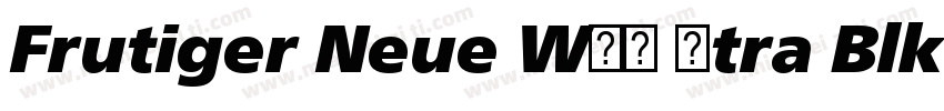 Frutiger Neue W01 Xtra Blk It字体转换
